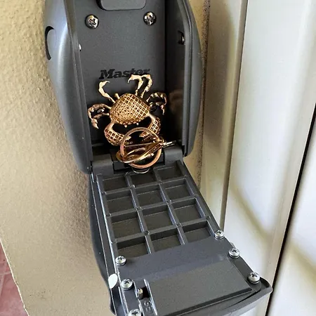 T2 Vue Mer, Piscine Bravone Linguizzetta