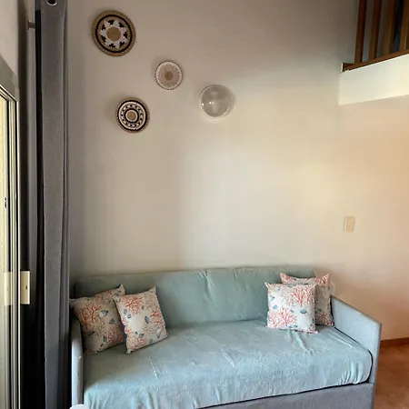 T2 Vue Mer, Piscine Bravone Apartman Linguizzetta