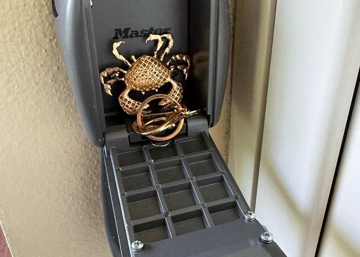 T2 Vue Mer, Piscine Bravone Linguizzetta