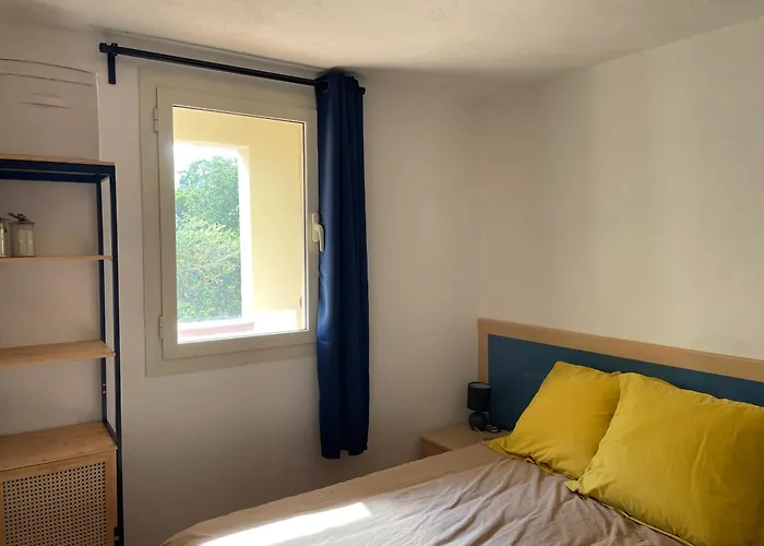 Daire T2 Vue Mer, Piscine Bravone *