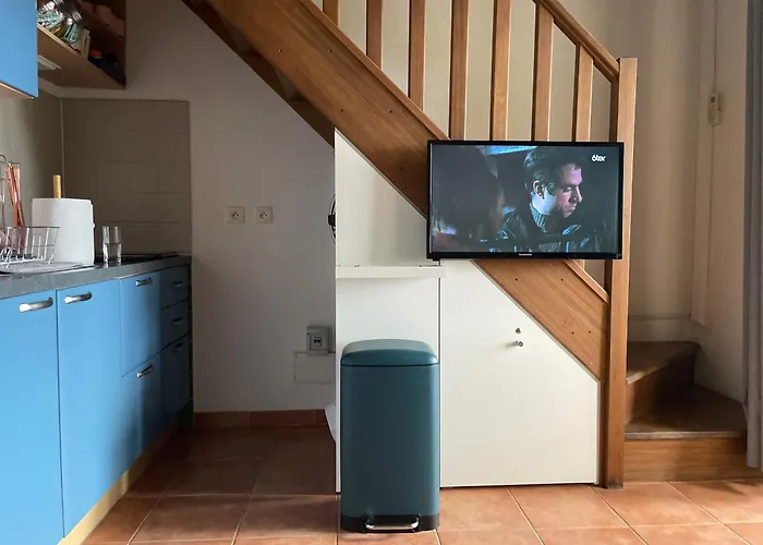 T2 Vue Mer, Piscine Bravone *